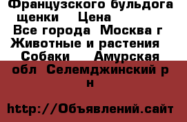 Французского бульдога щенки  › Цена ­ 35 000 - Все города, Москва г. Животные и растения » Собаки   . Амурская обл.,Селемджинский р-н